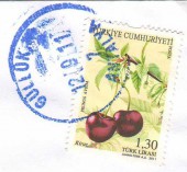Почтовая марка Турции с изображением вишен