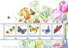 Нидерланды бабочки