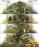 Марочный лист Польши с грибами