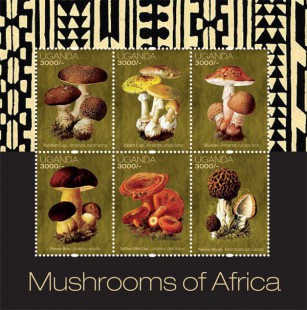 Марочный лист Уганды с грибами
