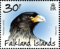 Марка Фолклендских островов с соколом