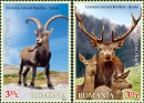 Совместный выпуск марок Испании и Румынии "Олень и горный козел"